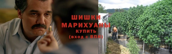 мдпв Алапаевск