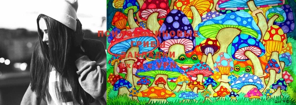 PSILOCYBIN Аксай