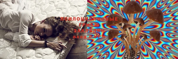мдпв Алапаевск