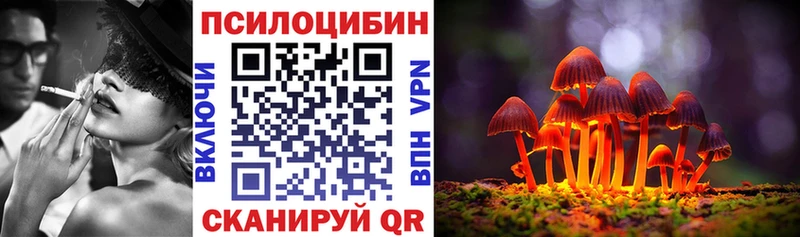 Псилоцибиновые грибы мицелий Ершов